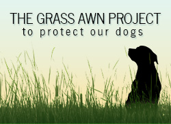 The Grass Awn Project Badge